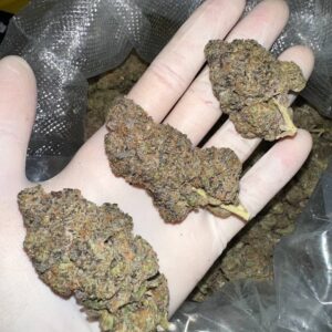 buy cannabis online in Oslo